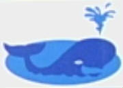 whalehill.jpg